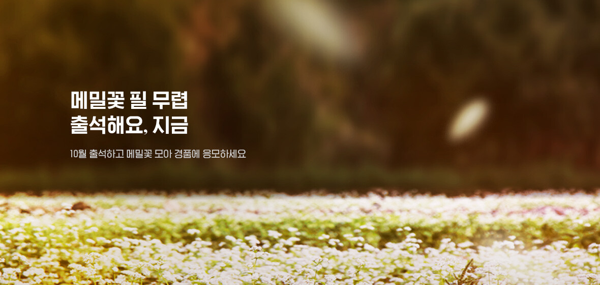 메밀꽃 필 무렵
출석해요, 지금
10월 출석하고 메밀꽃 모아 경품에 응모하세요